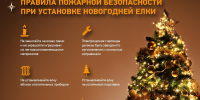Правила пожарной безопасности при установке новогодней елки - Пачелмский район