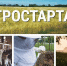 Объявлен отбор на получение гранта "Агростартап" - Пачелмский район
