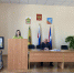 Рабочее совещание с кураторами первичных отделений Движения Первых - Пачелмский район