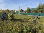 Сотрудники Пачелмской районной библиотеки приняли участие в субботнике по благоустройству